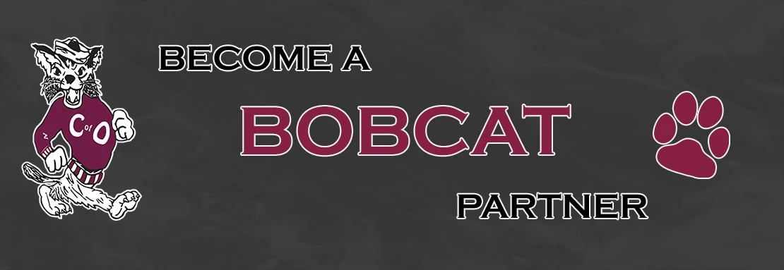 Bobcat Partners